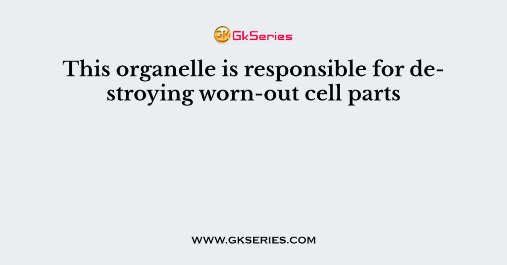 This organelle is responsible for destroying worn-out cell parts