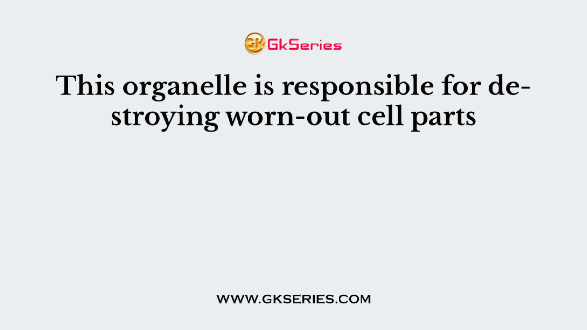 This organelle is responsible for destroying worn-out cell parts