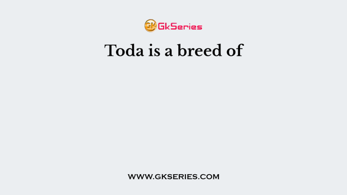 Toda is a breed of