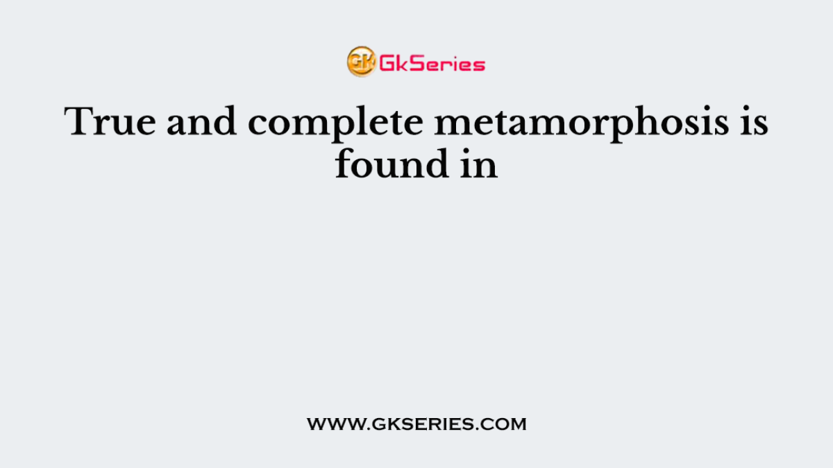 True and complete metamorphosis is found in
