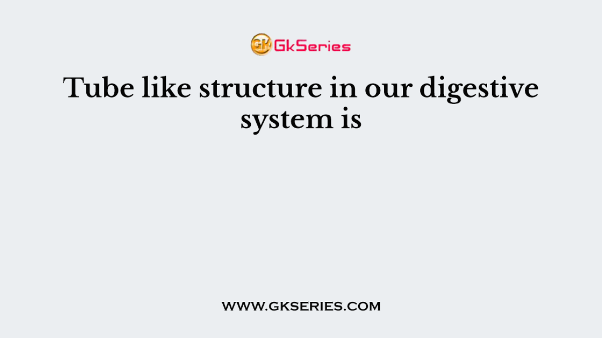 Tube like structure in our digestive system is
