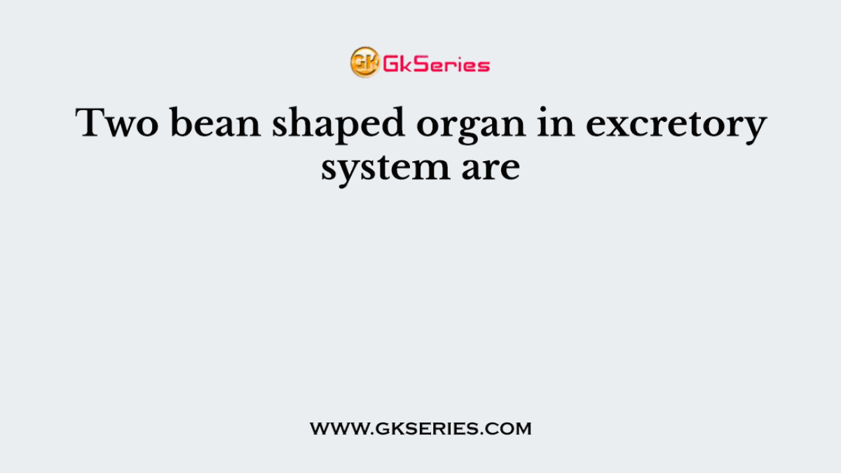 Two bean shaped organ in excretory system are