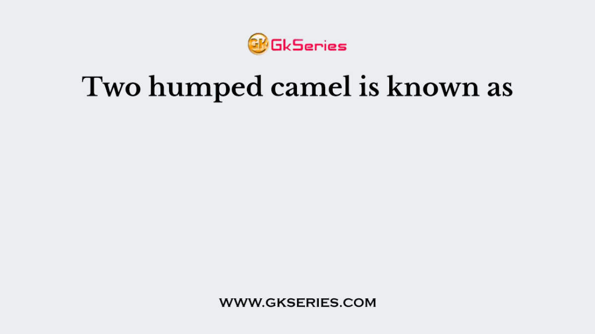 Two humped camel is known as