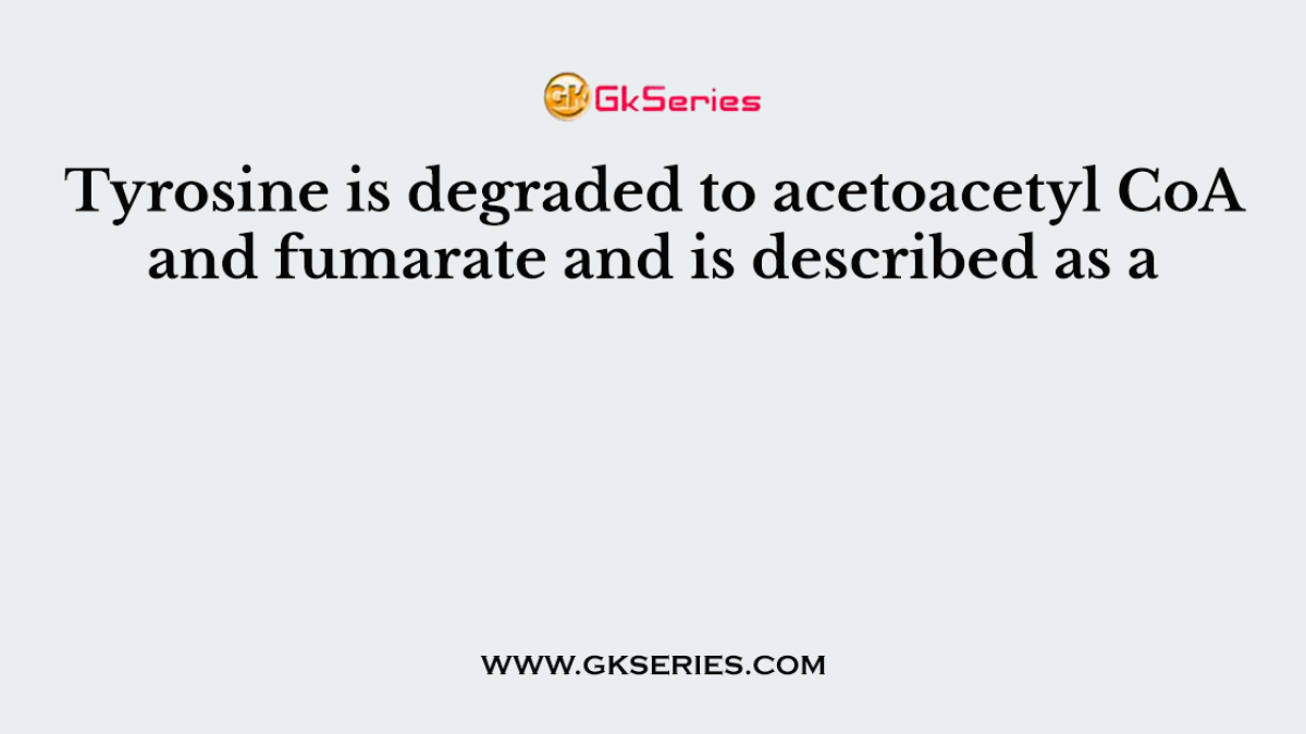 Tyrosine is degraded to acetoacetyl CoA and fumarate and is described as a