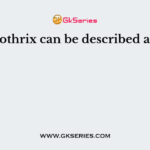 Ulothrix can be described as a