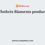 Ulothrix filaments produce