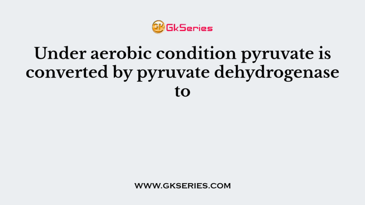 Under aerobic condition pyruvate is converted by pyruvate dehydrogenase to