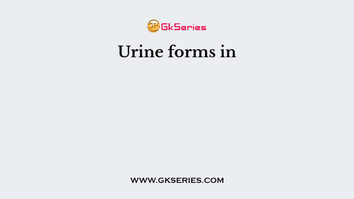Urine forms in