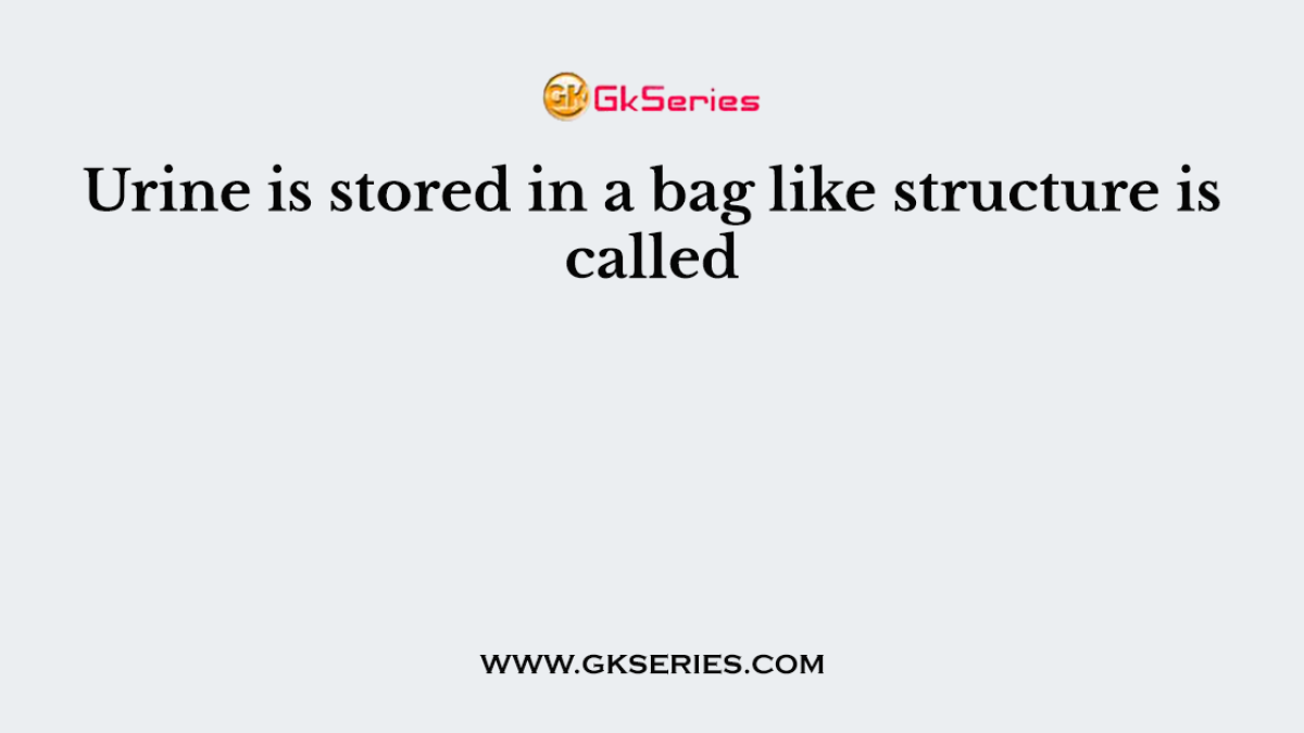 Urine is stored in a bag like structure is called