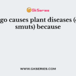 Ustilago causes plant diseases (called smuts) because