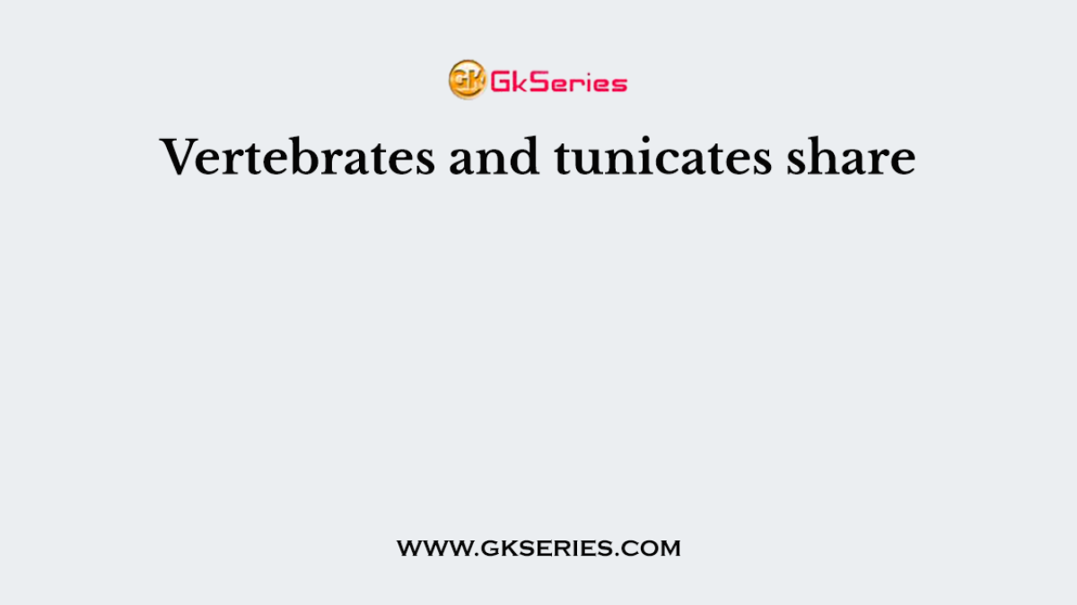 Vertebrates and tunicates share