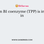 Vitamin B1 coenzyme (TPP) is involved in