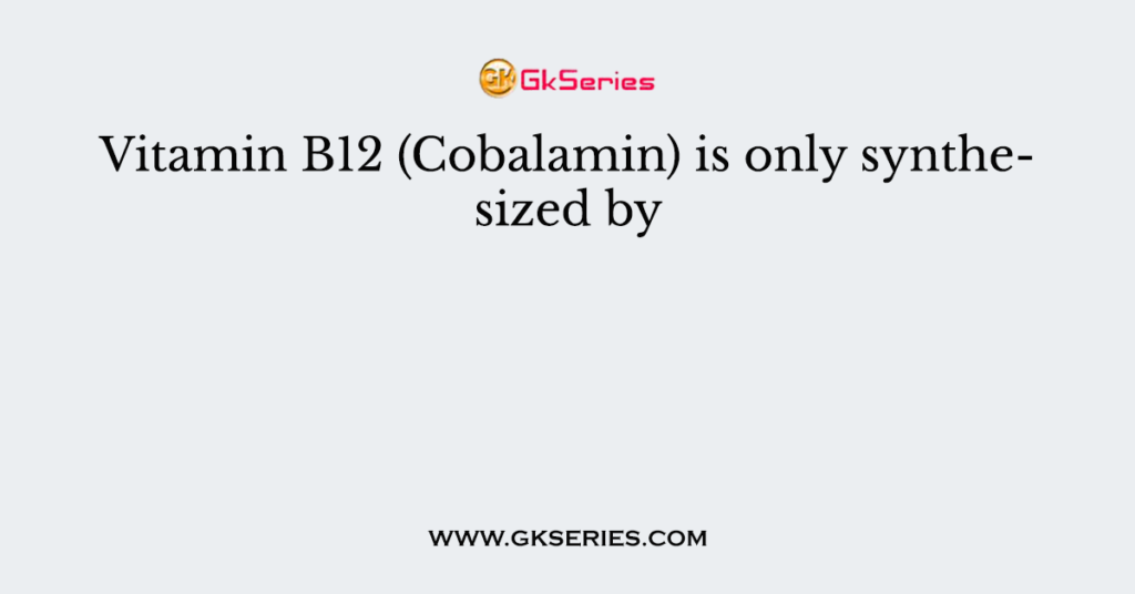 Vitamin B12 (Cobalamin) is only synthesized by