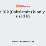 Vitamin B12 (Cobalamin) is only synthesized by