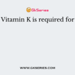 Vitamin K is required for