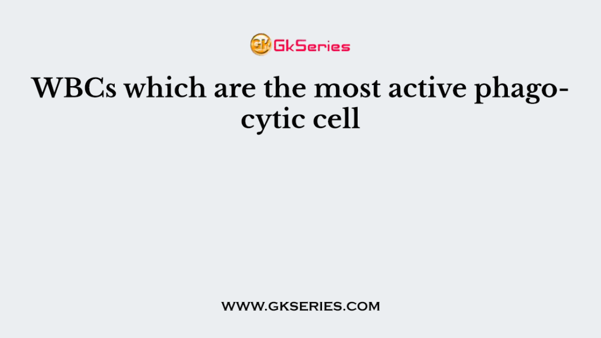 WBCs which are the most active phagocytic cell