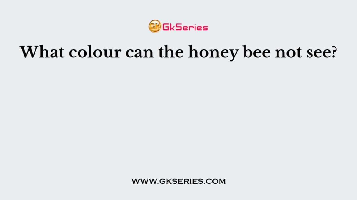 What colour can the honey bee not see?