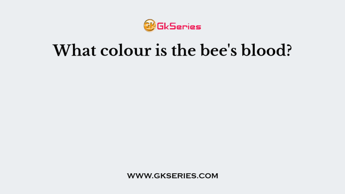 What colour is the bee's blood?