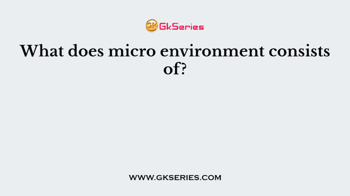 What does micro environment consists of?