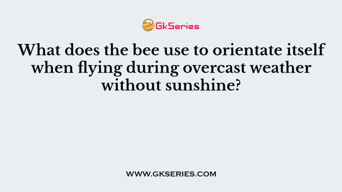 What does the bee use to orientate itself when flying during overcast weather without sunshine?