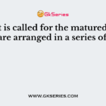 What is called for the matured soils which are arranged in a series of zones?