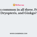 What is common in all three, Funaria, Dryopteris, and Ginkgo?