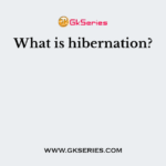 What is hibernation?