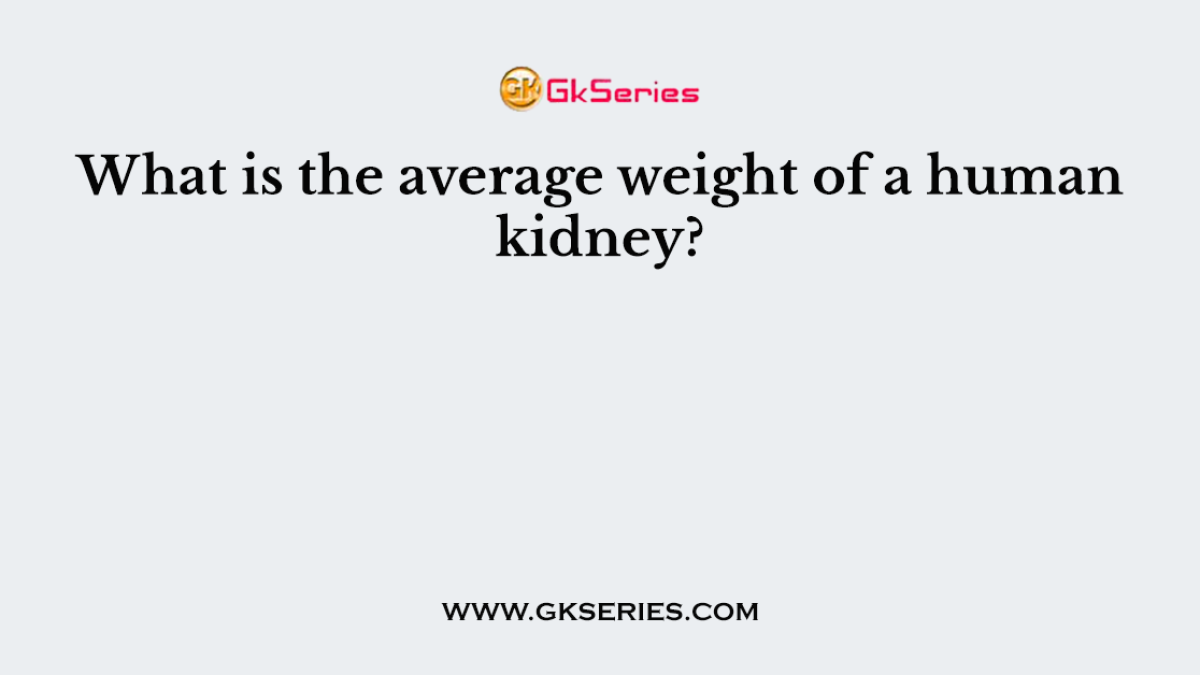 What is the average weight of a human kidney?