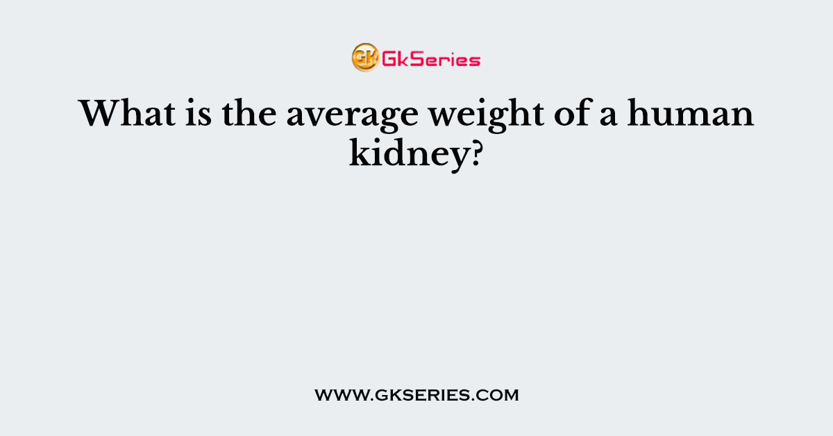 What is the average weight of a human kidney?