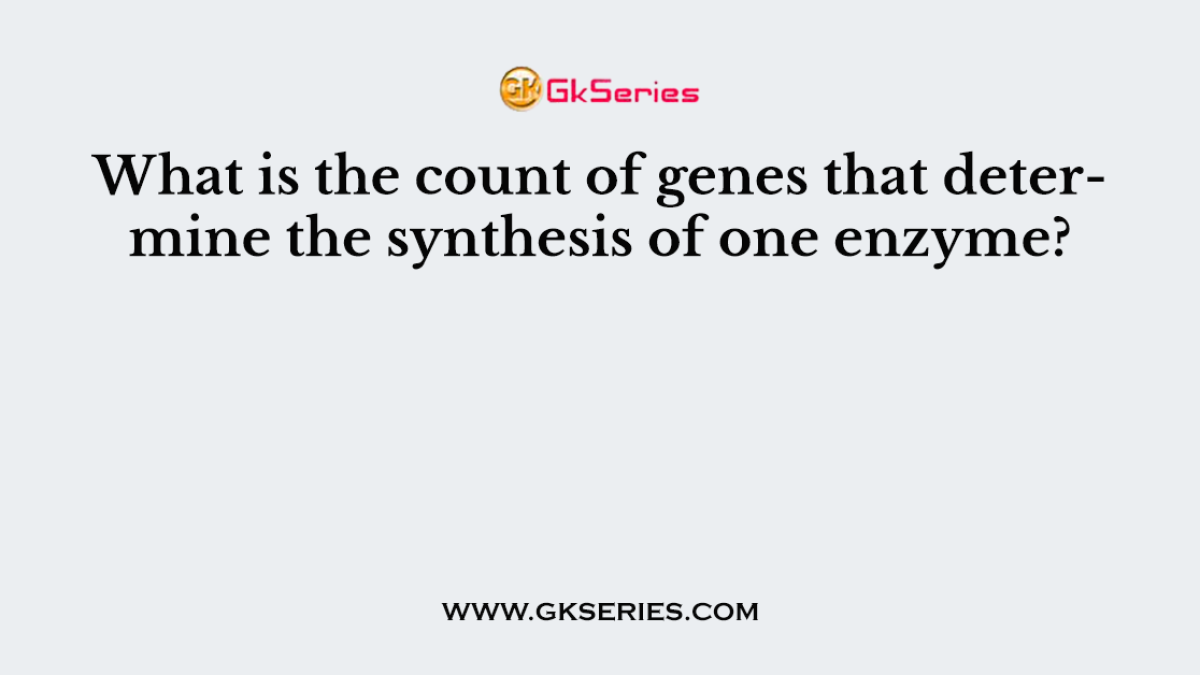 What is the count of genes that determine the synthesis of one enzyme?
