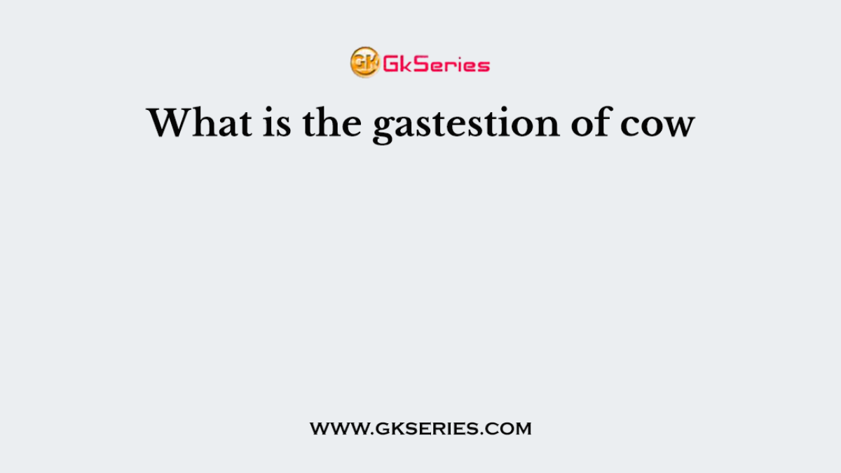 What is the gastestion of cow