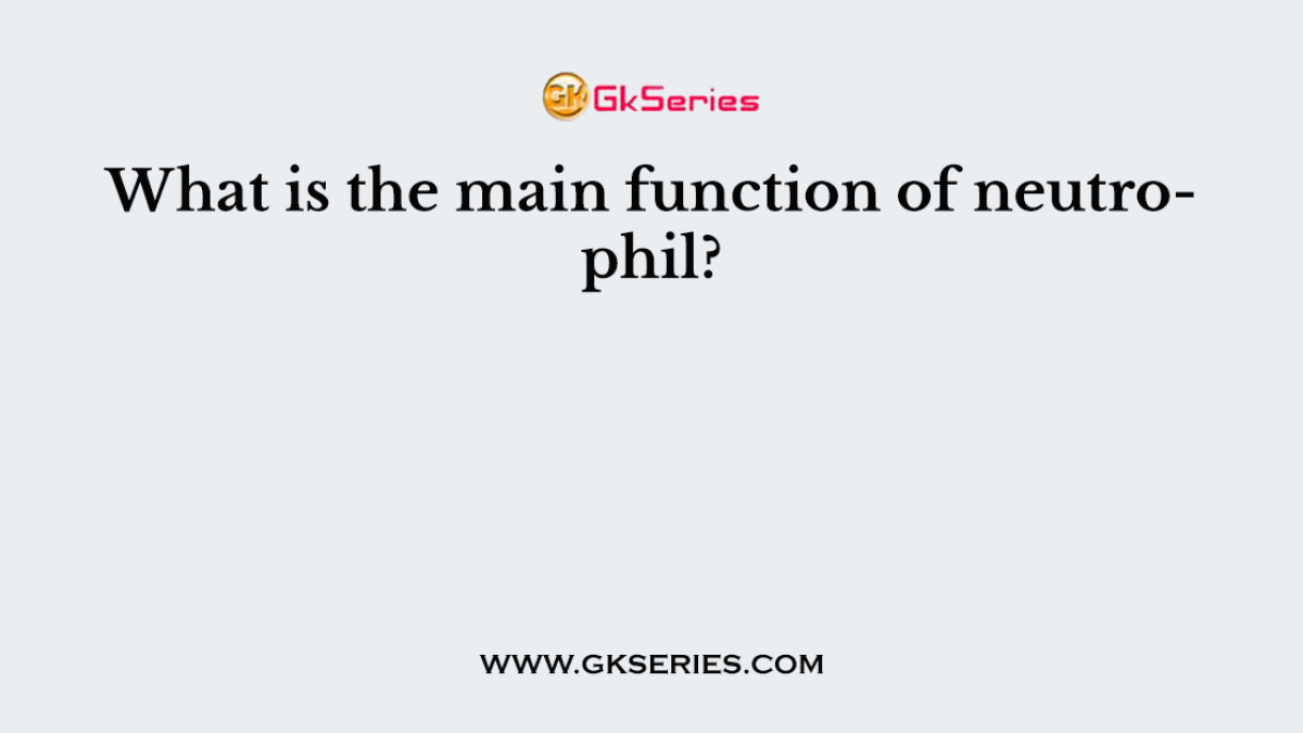 What is the main function of neutrophil?