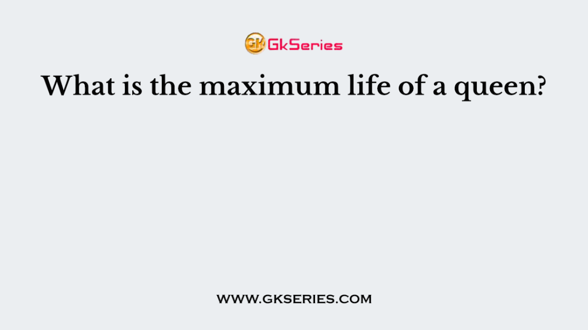 What is the maximum life of a queen?