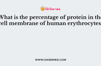 What is the percentage of protein in the cell membrane of human erythrocytes?