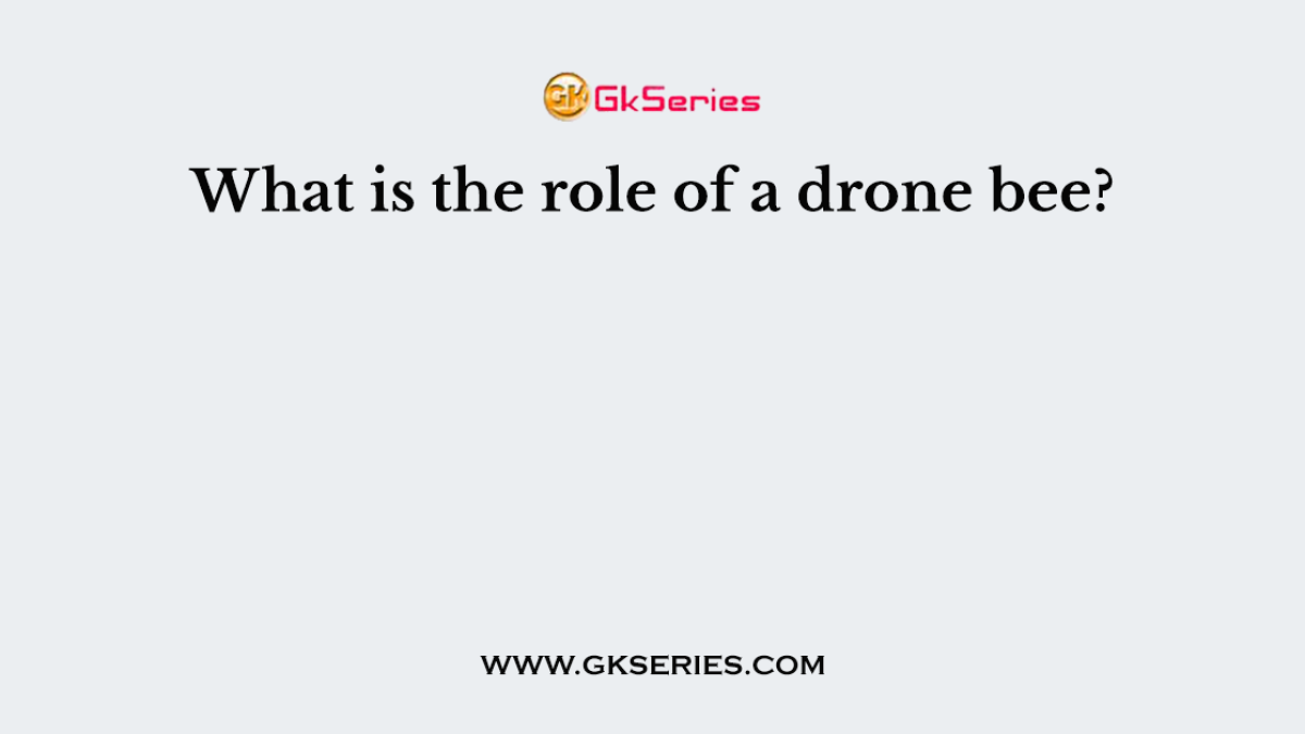 What is the role of a drone bee?