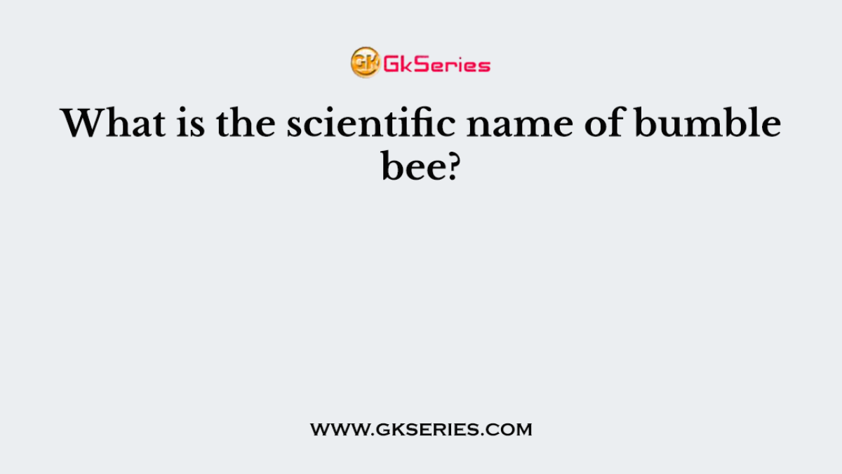 What is the scientific name of bumble bee?