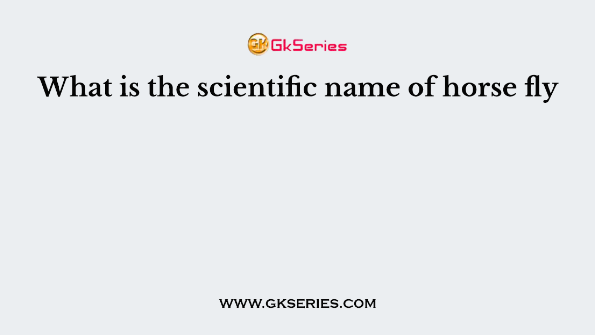 What is the scientific name of horse fly