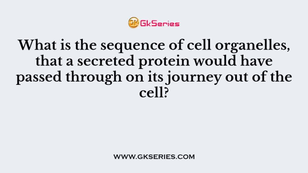 What is the sequence of cell organelles, that a secreted protein would have passed through on its journey out of the cell?