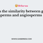 What is the similarity between gymnosperms and angiosperms ?