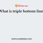 What is triple bottom line?