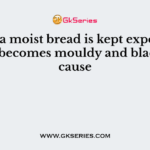 When a moist bread is kept exposed in air, it becomes mouldy and black because
