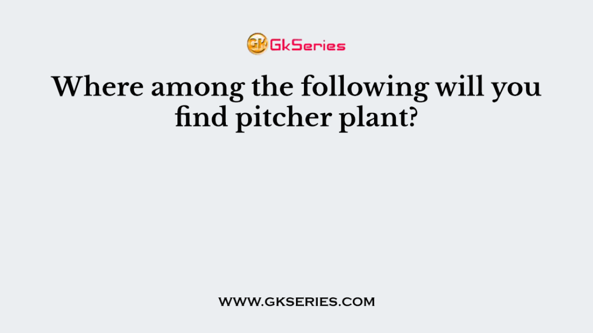Where among the following will you find pitcher plant?