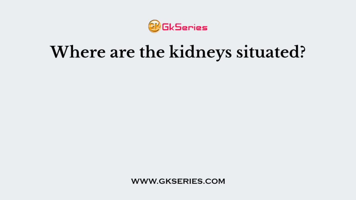 Where are the kidneys situated?