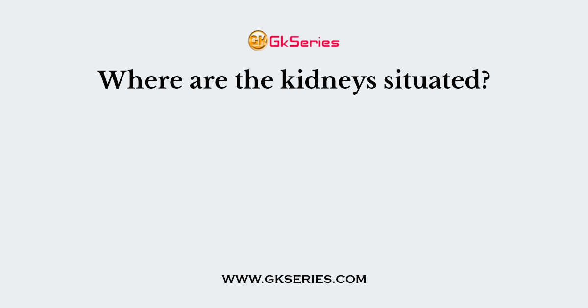 Where are the kidneys situated?