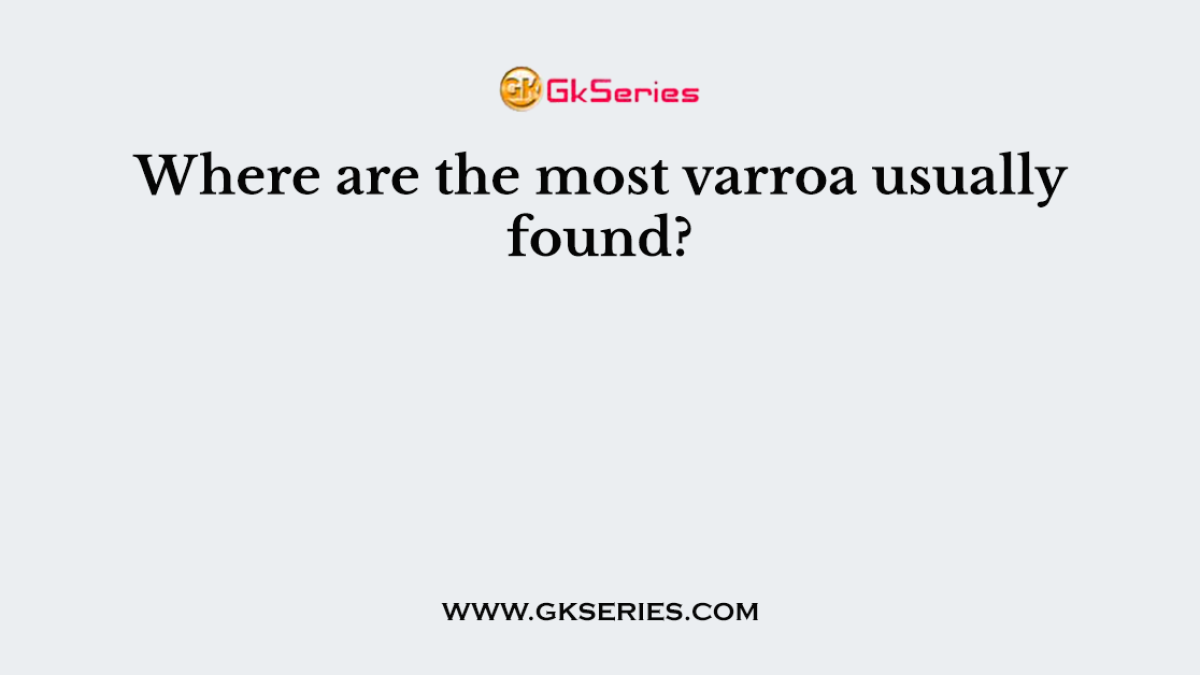 Where are the most varroa usually found?