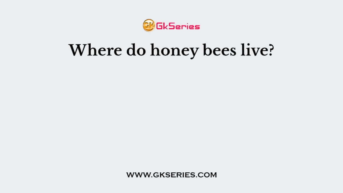 Where do honey bees live?