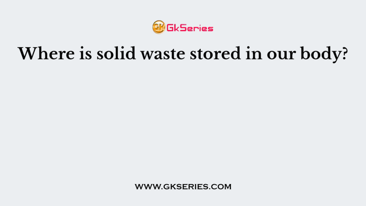 Where is solid waste stored in our body?
