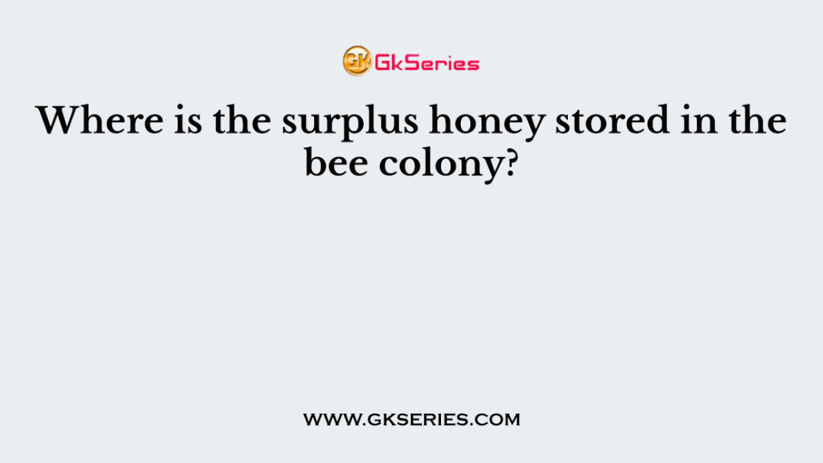 Where is the surplus honey stored in the bee colony?