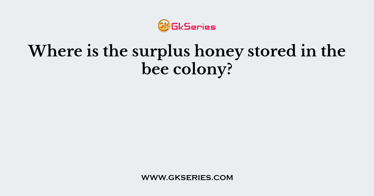 Where is the surplus honey stored in the bee colony?