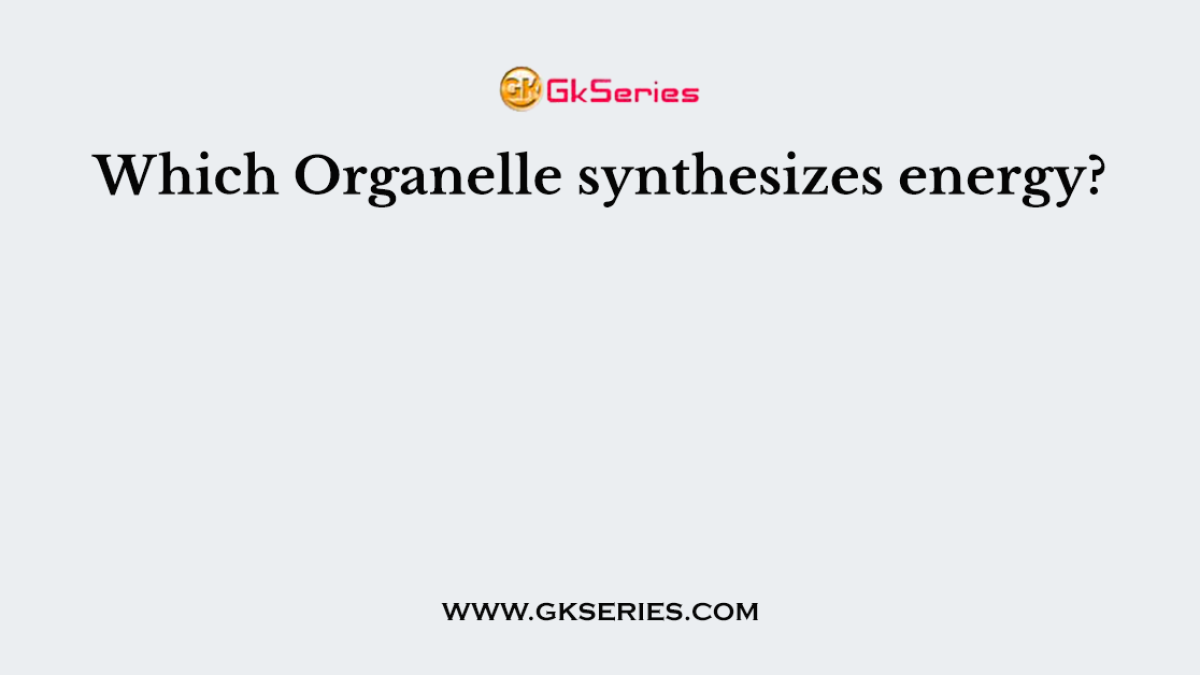 Which Organelle synthesizes energy?